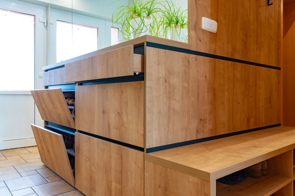 Bookcase and Entrance Hall